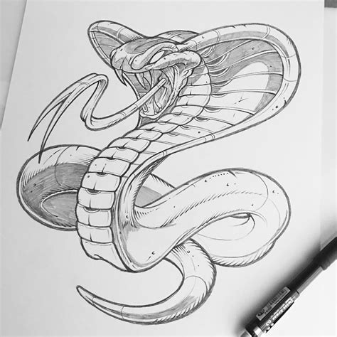 Картинки по запросу sweyda snake Tattoo Sketches Art Drawings Sketches