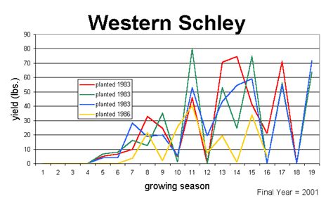 Western Schley Cultivars Pecan Breeding