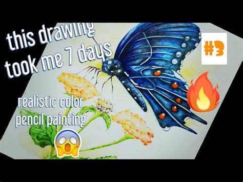 HOW TO USE COLORED PENCIL Guide For Beginners Part 3 Youtubeindia