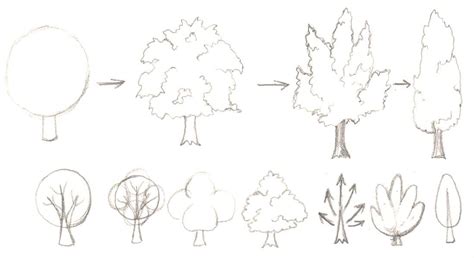 How To Draw Trees Tree Drawing Drawings Manga Tutorial