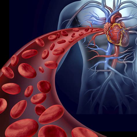 Pras Academy - SMP: Aliran dan Tekanan Darah