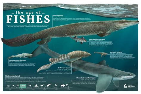 Devonian Fishes Prehistoric Wildlife Extinct Animals Prehistoric World