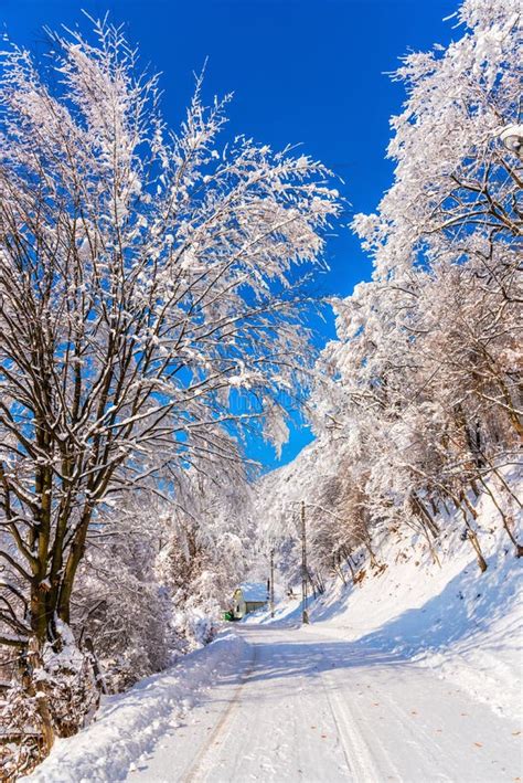 Winter Landscape In The Cold Winter Romania Stock Photo Image Of