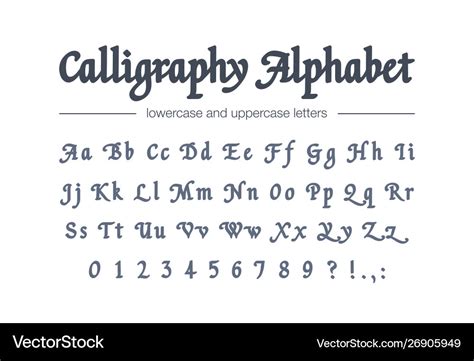 Calligraphy Alphabet Universal Handwritten Bold Vector Image