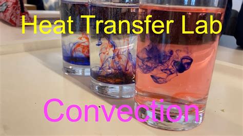 Making You The Scientist Heat Transfer And Convection Lab Youtube