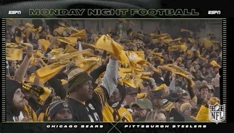 Terrible Towels Gifs Get The Best Gif On Giphy