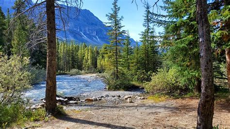 9 Best Campgrounds In Banff National Park Ab Canada The Golden News