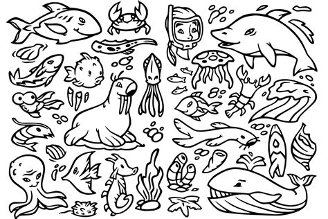 32 Underwater Ocean Doodles 179159 Illustrations Design Bundles
