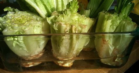 How To Easily Re Grow Romaine Lettuce From A Stump Indoors