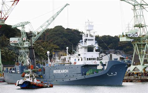 Japans Research Whaling Fleet Leaves For Antarctic The Japan Times