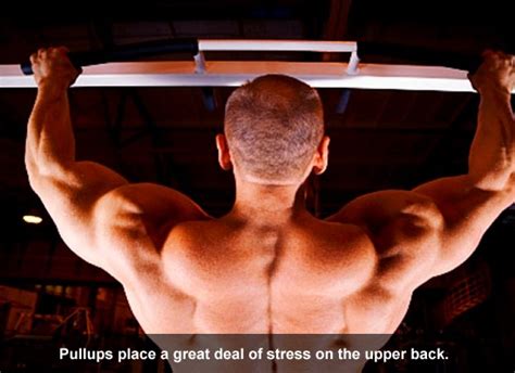 The Top 5 Exercises For Increasing Back Mass Muscle And Strength