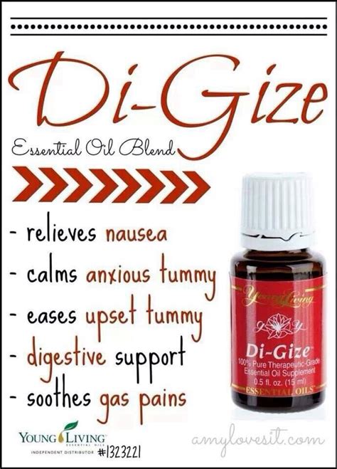 With tips, tricks, and info about using #essentialoils everyday. 78 Best images about Di-Gize Young Living on Pinterest ...