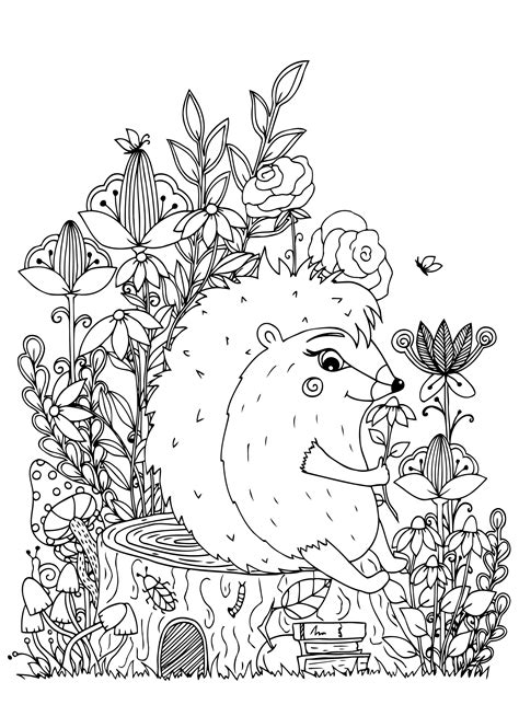 Hedgehog Coloring Book For Adults And Kids Little Hedgehogs Etsy Uk