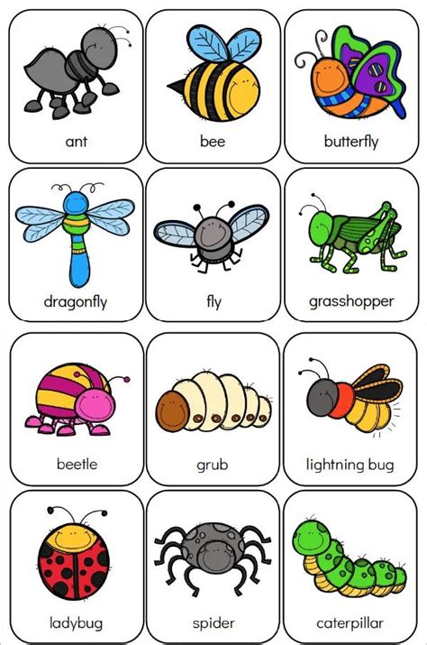 Heres Your Free Bug Flashcards Bugs Preschool Bug Activities