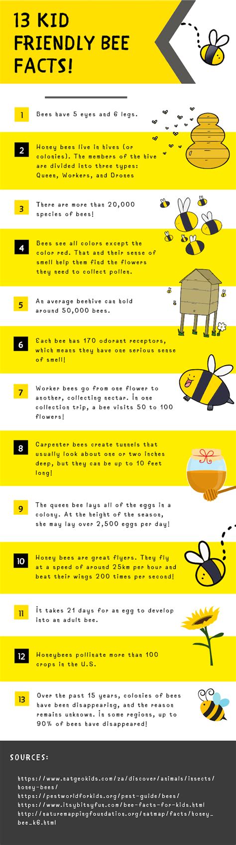 5 Cool Ways To Teach Kids About Bees — Mr Bonds Science Guys