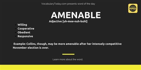 Amenable Meaning Usage Quotes And Social Examples Word Of The Day S Grammar Words