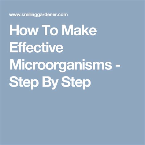 How To Make Effective Microorganisms Step By Step Microorganisms