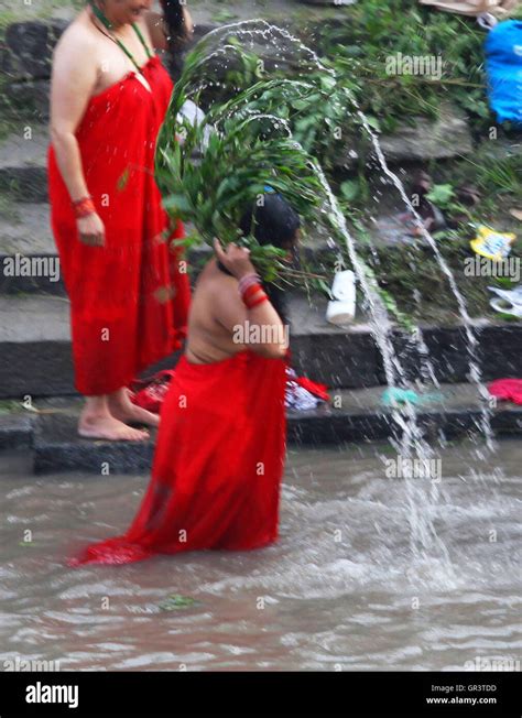 kathmandu nepal 06th sep 2016 hindu women take a bath ritual by using dattiwan sacred twigs