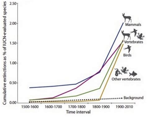 Radical Overhaul Needed To Halt Earths 6th Great Extinction Event