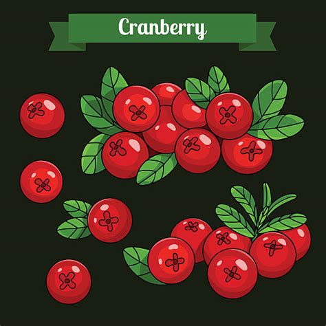 Download Cranberry Sauce Illustrations, Royalty-Free Vector Graphics & Clip Art - iStock