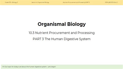 Solution Gen Bio Nutrient Procurement And Processing Studypool