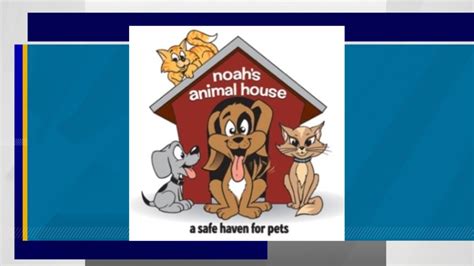 Noahs Animal House Marks Milestone Serving 2021 Pets This Year Klas