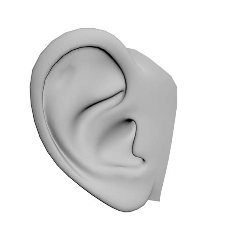 Human Ear 3d Model Cgtrader