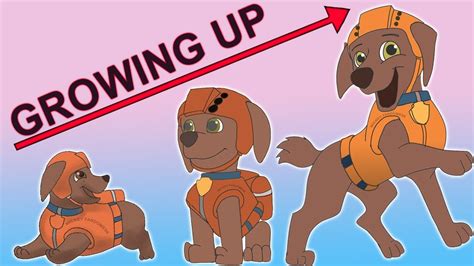 Paw Patrol Zuma Growing Up Evolution Speed Drawing Digital Art Youtube