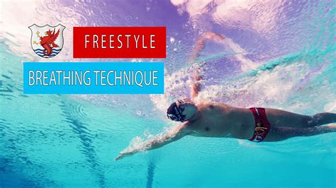 Freestyle Swim Technique Breathing The Race Club