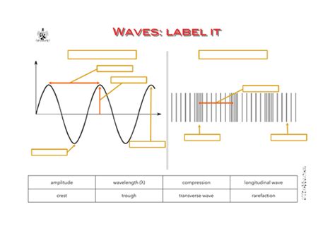 Waves Label It Teaching Resources