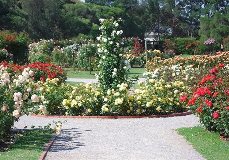 A Quick Summary Of Effective Rose Garden Design Ideas Properly Rooted