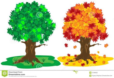 Tree By Summer And Autumn Stock Vector Illustration Of Meadow 27268322
