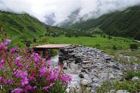 Nanda Devi And Valley Of Flowers National Parks India Heritage Sites