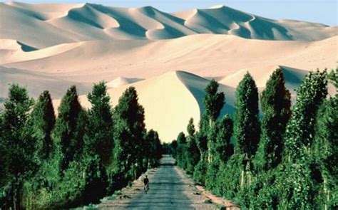 Can The Great Green Wall Solve Africas Problems