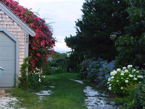 Cape Cod Historic Homes Blog Gardening With Native Plants To Enhance
