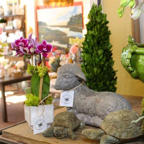 Anitas Garden Shop And Design On Instagram Turtles And A Lamb For