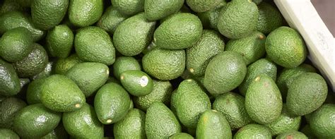 Avocados In Bin Index Fresh