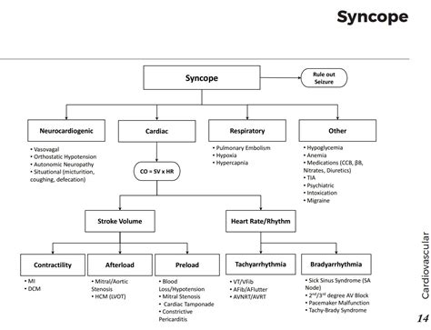 Syncope Differential Diagnosis Algorithm Neurocardiogenic Grepmed