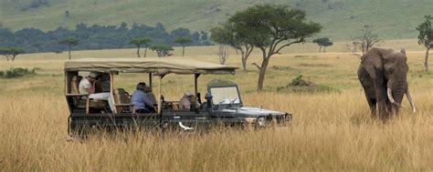Why Travel To Tanzania Tour Highlights Safari Ventures