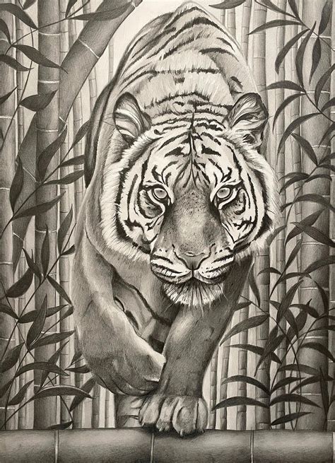 The Path Art Print Tiger Illustration Bamboo Jungle Art Etsy Jungle