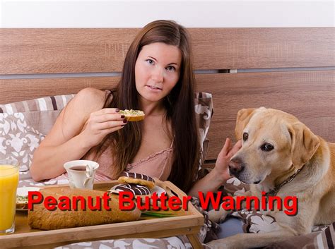 Peanut Butter Warning Emergency Animal Care Braselton