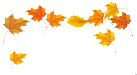Autumn Leaf Color Clip Art Leaves Png Download 50942822 Free