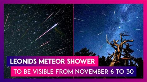 Leonids Meteor Shower To Be Visible From November 6 To 30 All About
