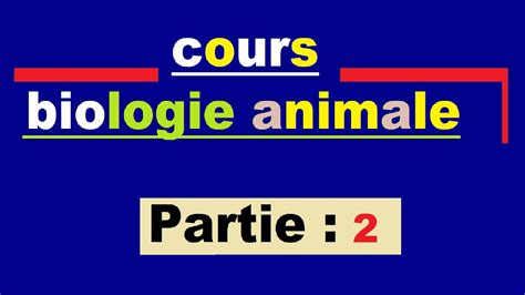 La Biologie Animale Ep2 Les Fonctions Vitales Chez Les Animaux Youtube
