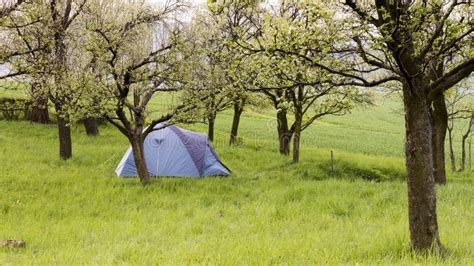 Camping Tent In Garden Stock Image Image Of Lifestyle 71619177