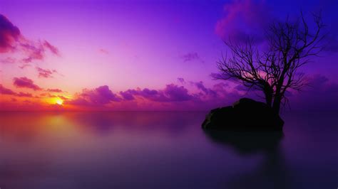 Hd Purple Sunset 6900026
