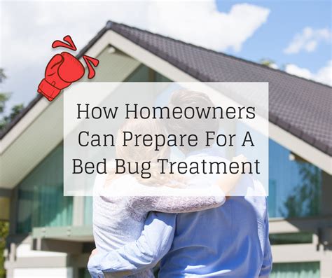 How Homeowners Can Prepare For A Bed Bug Treatment Knockout Pest Control