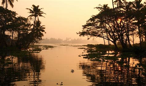 Why The Vacation Rental Stay In A Kerala Village Has More Life In It