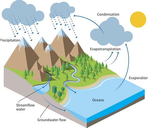 Water Cycle Model In 2023 Water Cycle Project Water Cycle Diagram