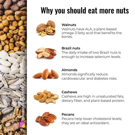 Why You Should Eat More Nuts Video Healthy Nuts Food Health